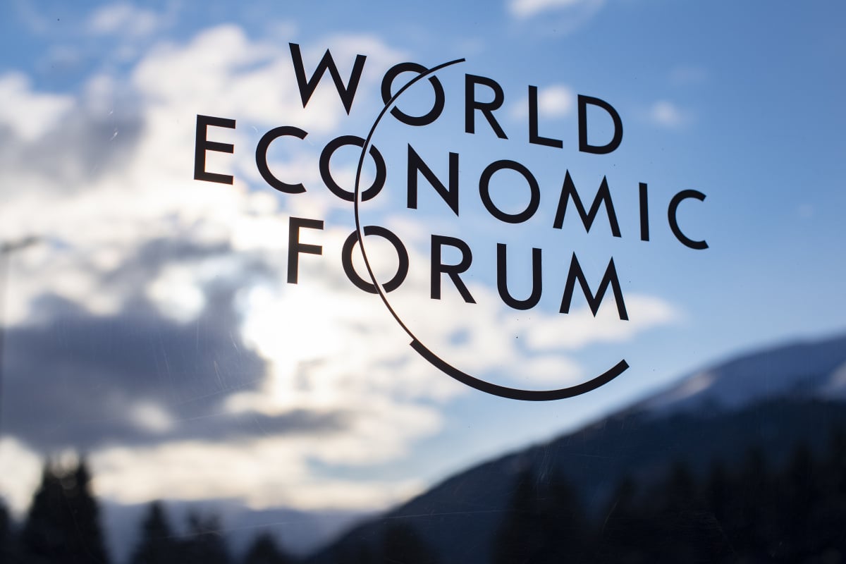 Dünya Ekonomik Forumu, Shiba Inu İddiasını Reddetti