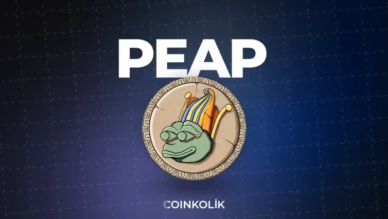 Gelişmekte olan memecoin projesi PEPE Ascension erken finansmanda 500 bin doları aştı